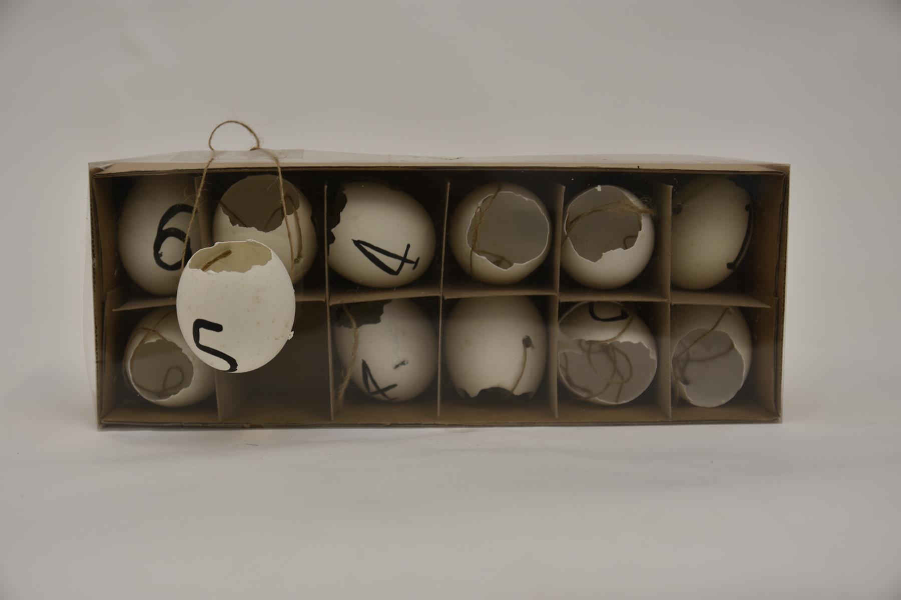 Doos Kippeneieren Met Touw En Nummers Wit - 12 Stuks