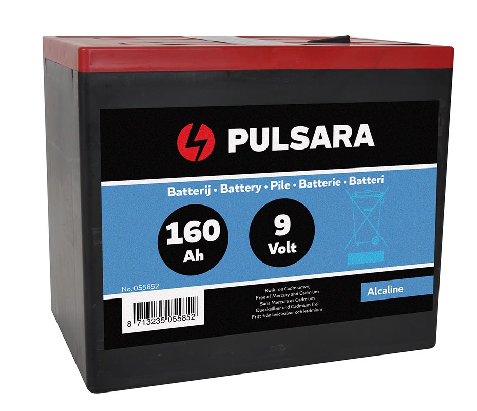 bedriegen briefpapier Samenhangend Pulsara batterij High Energy 9V batterijen