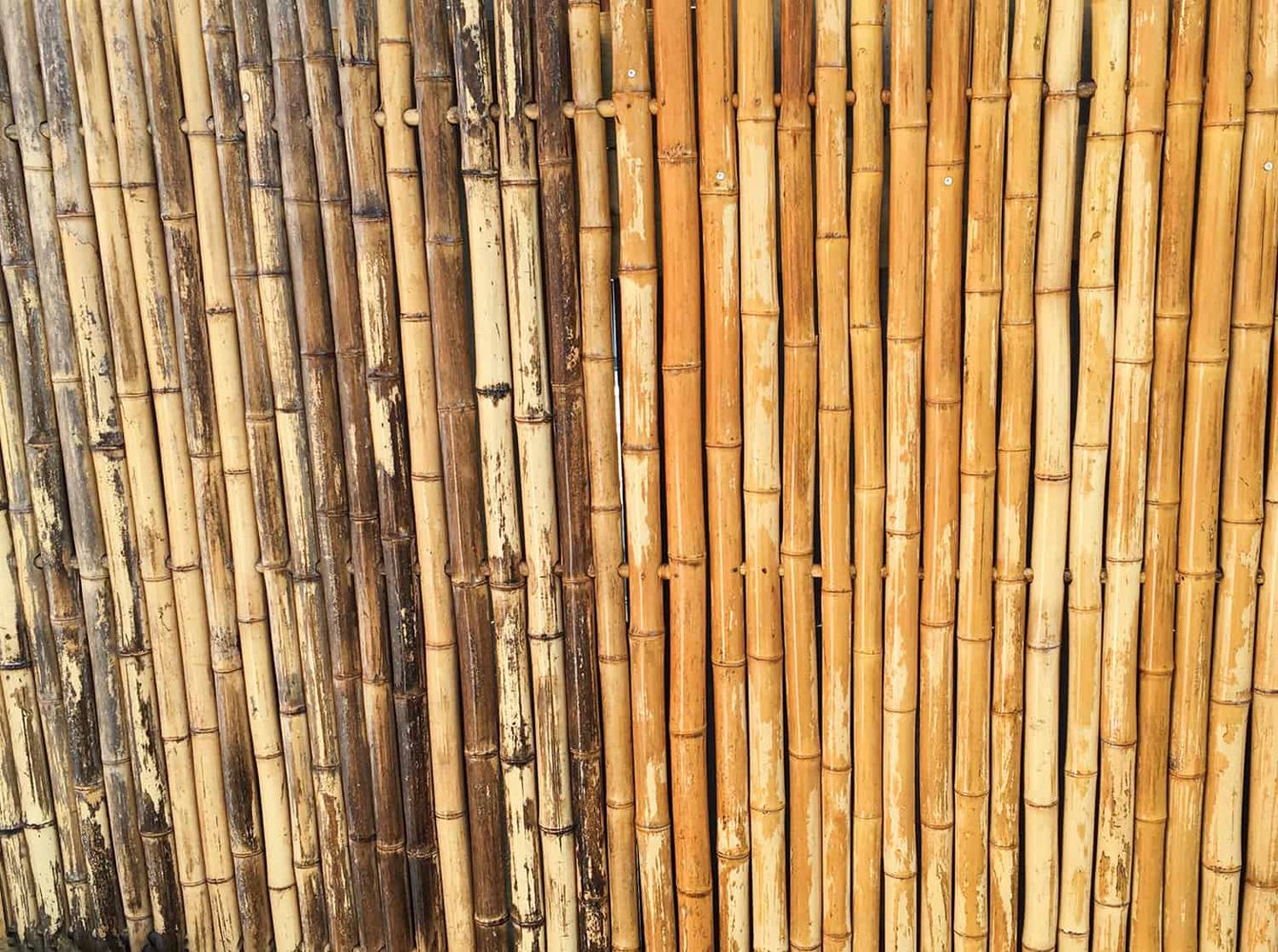 bamboo reiniger