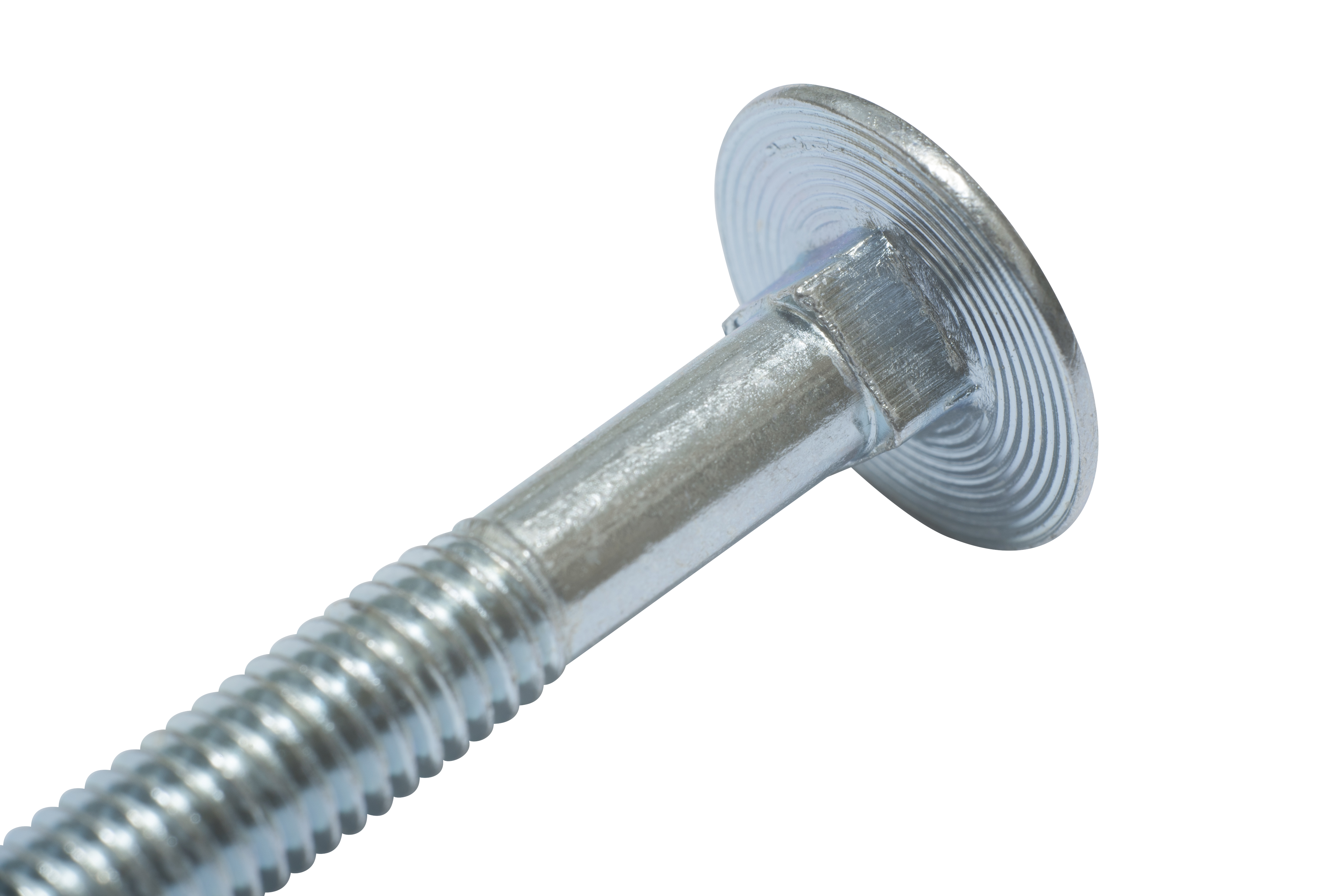 Carriage Bolts Galvanized M12 X 180 Mm - Quick Delivery | Wovar