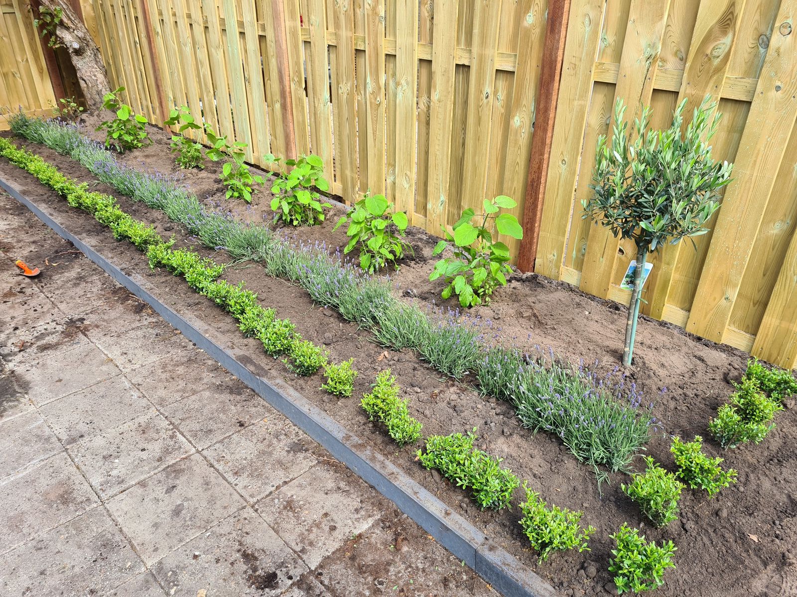 Omgaan met vat opener Tips voor tuinplanten uitzetten in uw border - planten tuin locatie