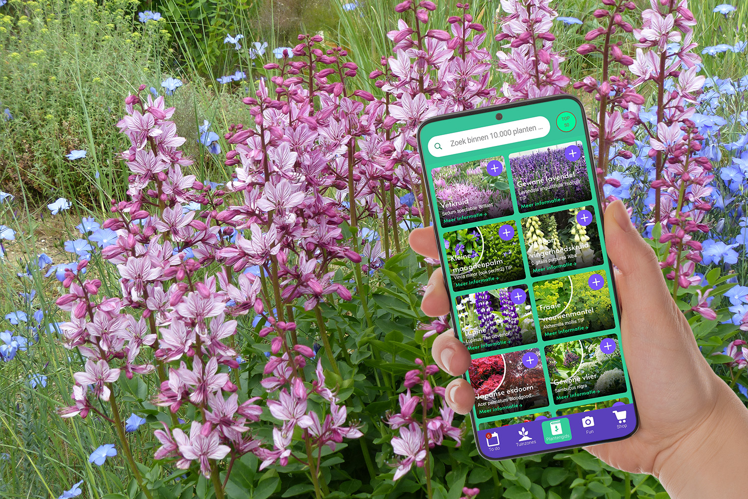 download gartenpflanzen pflege app