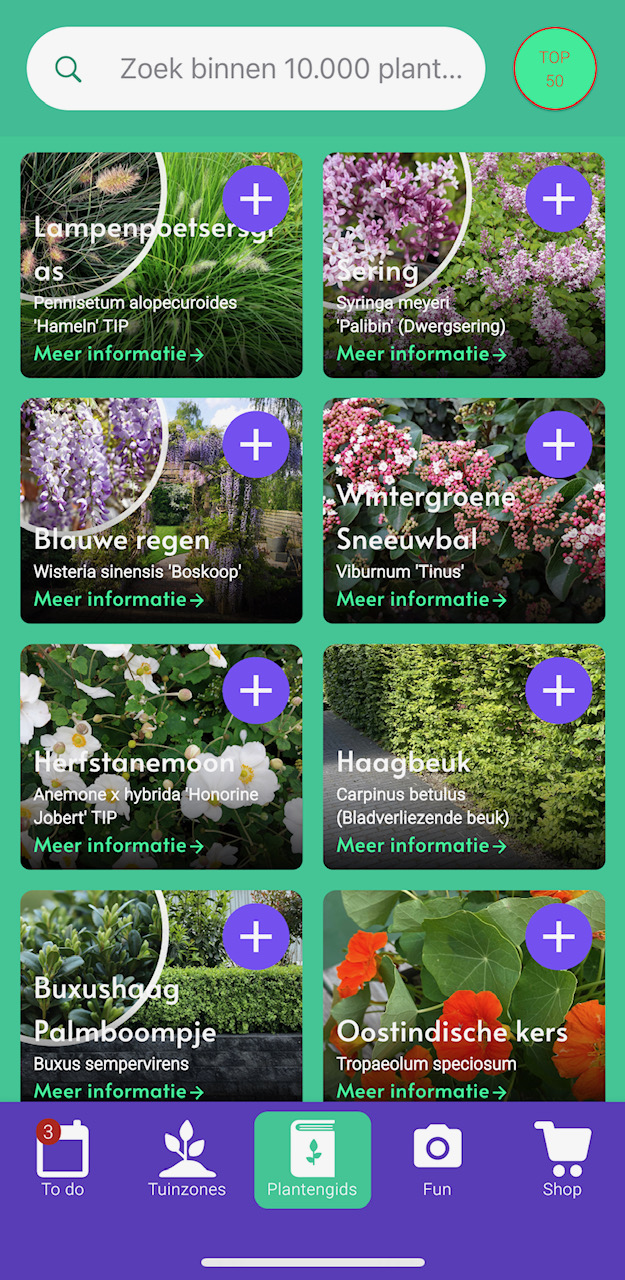 Pflanzen über die Garten-App nachschlagen