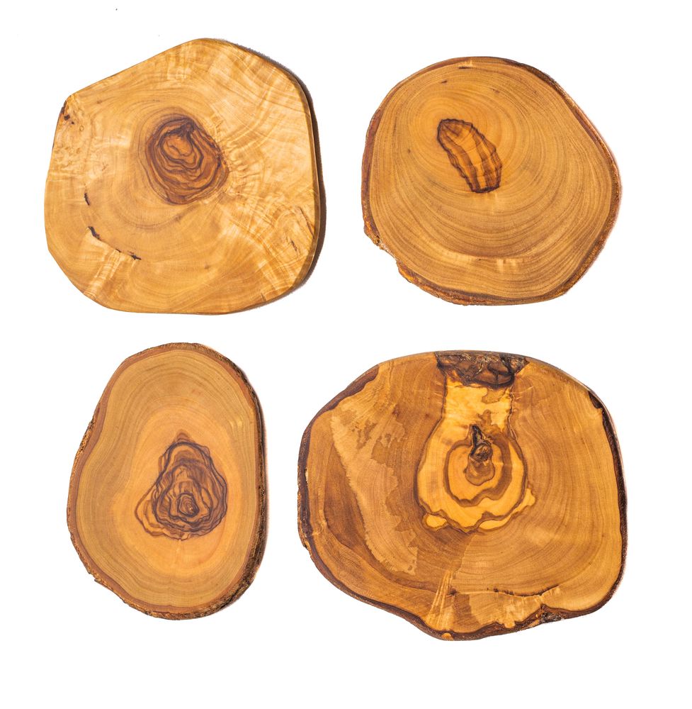 Sottobicchieri Jay Hill Tunea - legno d'ulivo - con corteccia - ø 10 cm - 4  pezzi