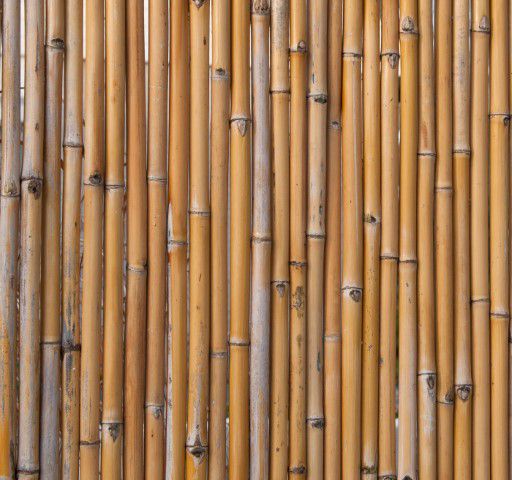 Psychologisch ondersteuning oog Bamboescherm op Rol 1.8 x 1.8 Meter Kopen? Bamboerol - Wovar