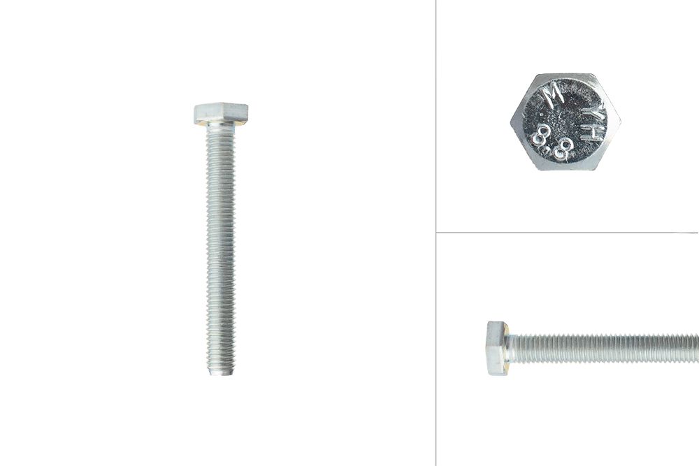 Tap Bolts Galvanized M10 X 80 Mm - Quick Delivery | Wovar