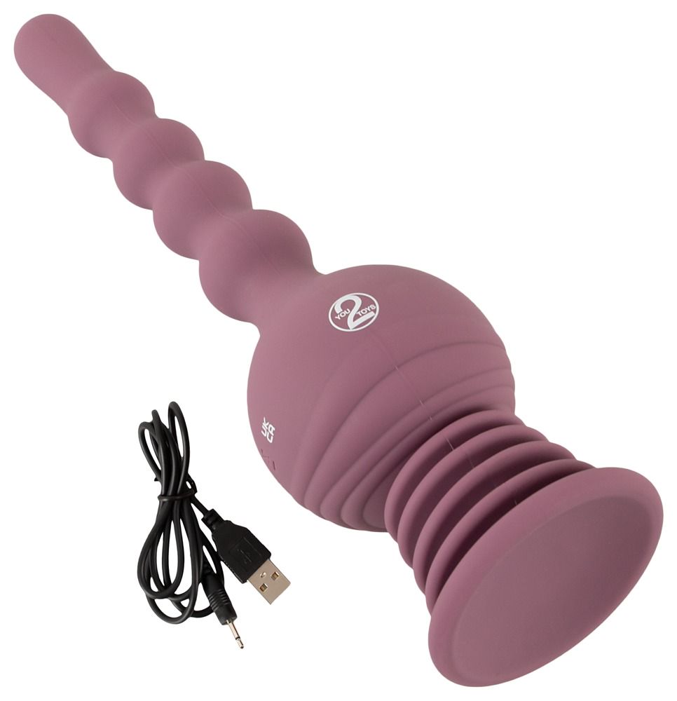 Anal Lover USB charger