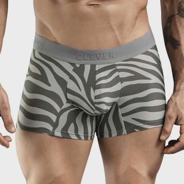 31.140-Cebra-Trunks-front-close.JPG