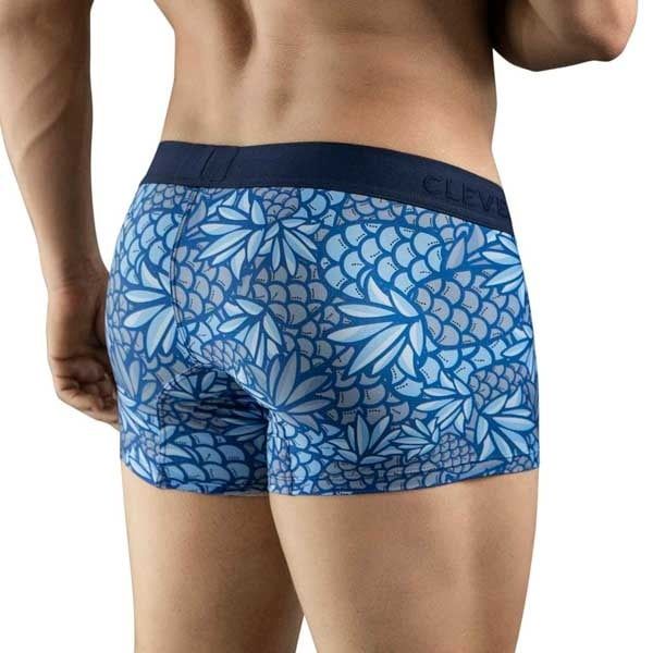 31.142-Pineapple-Trunks-back-close.jpg