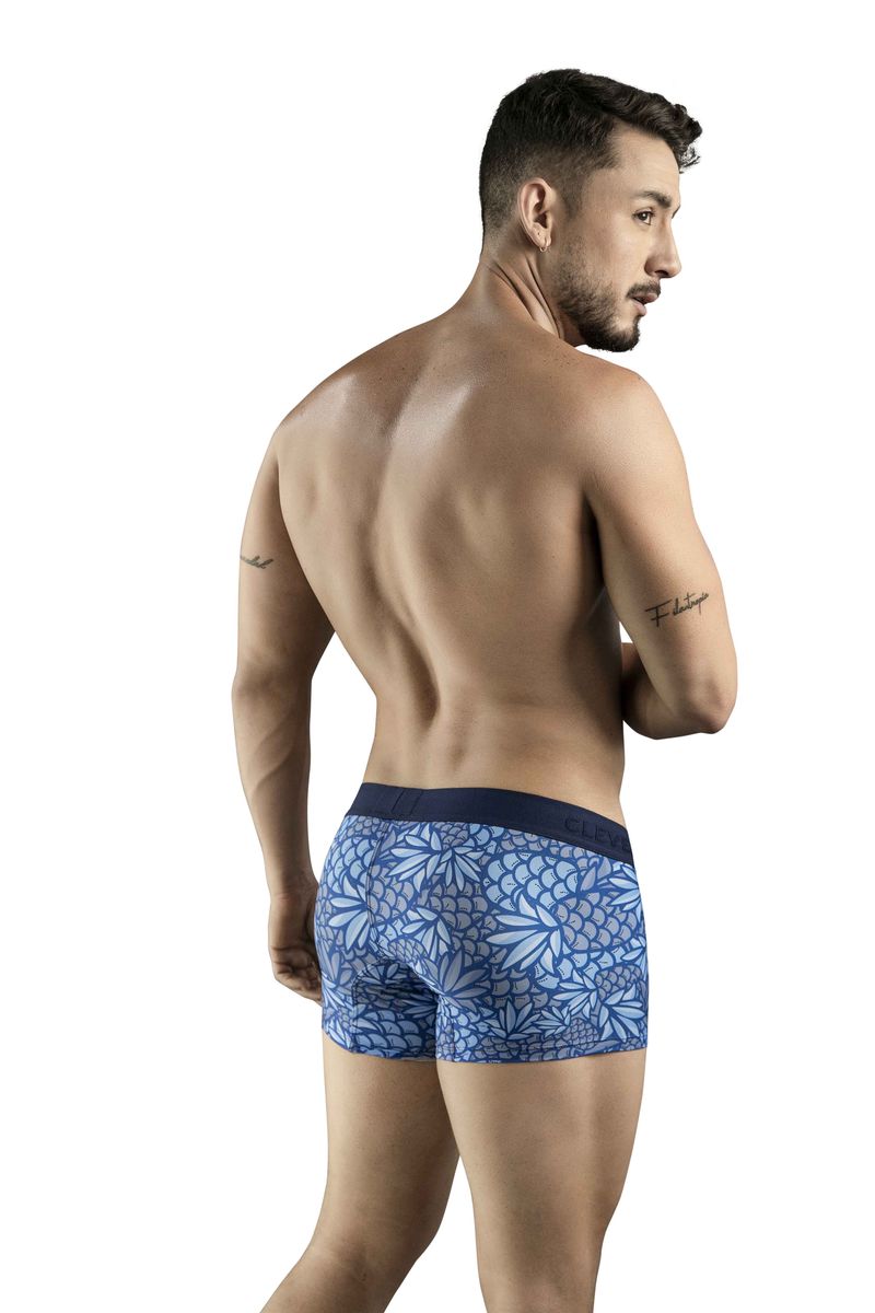 31.142-Pineapple-Trunks-back.jpg
