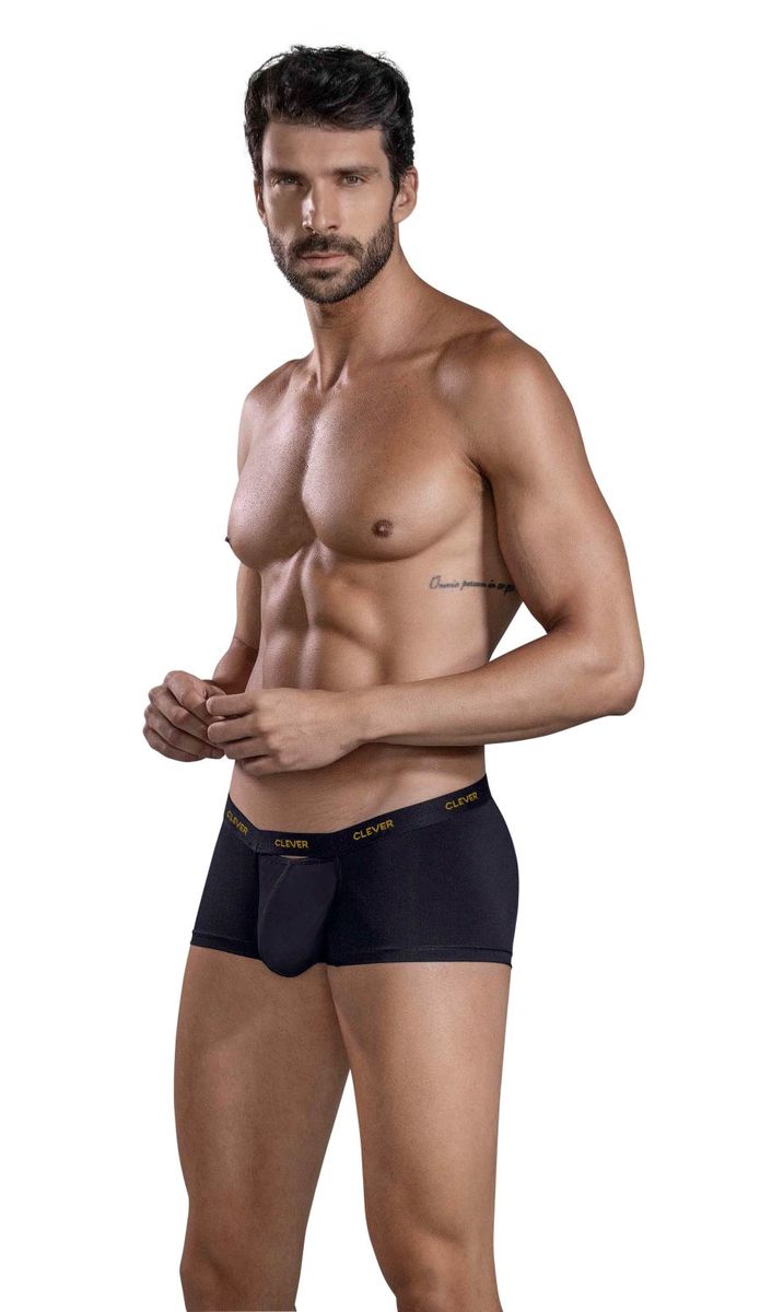 Luxury-Trunks-model-zij.jpg