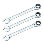 Ringratelsleutel - 19 mm - 3 stuks 1