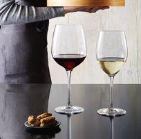 Bicchiere di vino Bormioli