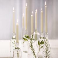 Bolsius Dinerkaarsen