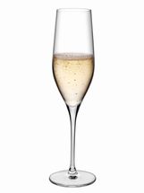 nude_champagneglazen_225ml.jpg