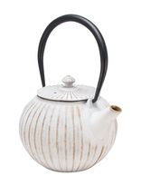 theepot_gietijzer_bol_1.1.jpg
