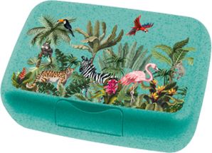 Koziol Lunchbox Candy Jungle