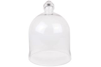 ct_glazen_stolp_24cm.jpg