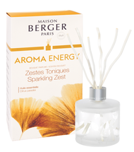 Bouquet Parfumé Maison Berger Aroma Energy 180 ml