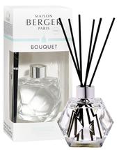 Maison Berger geurstokjes Geometry Zest of Verbena