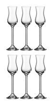 Leonardo Grappaglazen Daily 100 ml - 6 Stuks