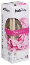 bolsius_true_scents