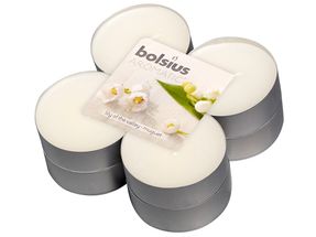Bolsius maxi geurlichten Aromatic Lily of the Valley - 8 stuks