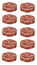 Bolsius geurchips Creations Sugar & Spice - 10 stuks