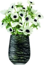 LSA_Vaas_Silk
