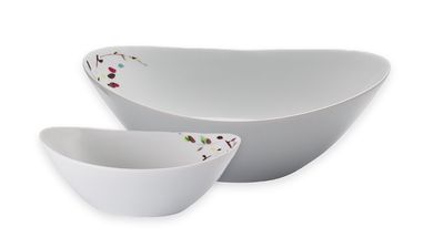 Arzberg Schalenset Form 2000 Ramo 2-Delig
