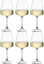 Leonardo White wine 540ml PALADINO - set/6