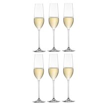 Schott Zwiesel Champagne Glasses Fortissimo 240 ml - Set of 6