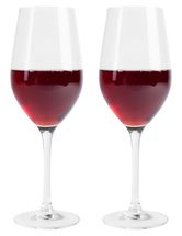 L' Atelier du Vin Rode Wijnglazen 450 ml - 2 Stuks