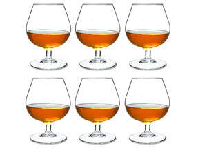 Verres à dégustation de cognac Arcoroc 250 ml - 6 pièces
