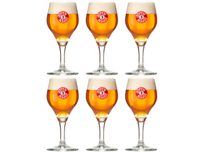 Jopen Bierglas 250 ml - 6 Stuks