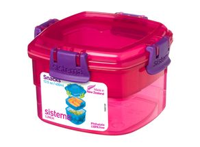 Sistema Lunchbox Roze 400 ml