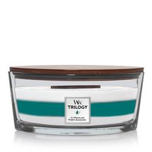 Bougie parfumée en ellipse WoodWick Trilogie Icy Woodland - 9 cm / 19 cm