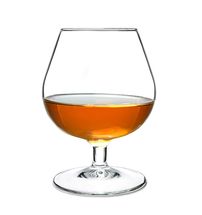 Arcoroc Cognacglas Degustation