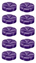 Bolsius geurchips Creations Blueberry - 10 stuks