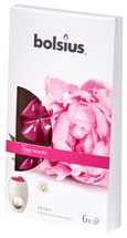 bolsius_true_scents