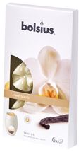 bolsius_true_scents