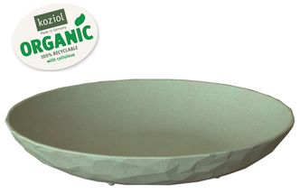koziol_bord_groen