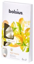 true moods feel happy wax melts