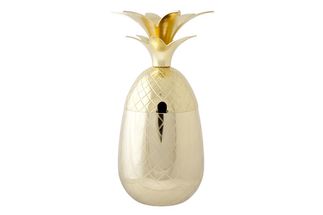 Cosy & Trendy Ananas