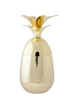 Cosy & Trendy Beker Ananas Goud