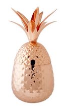 Cosy & Trendy Ananas