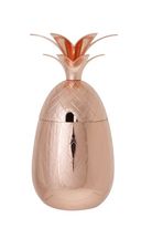 Cosy & Trendy Beker Ananas Koper