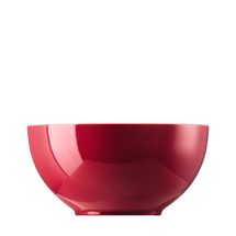arzberg-tric-amarena-schaal-rond-21cm.jpg