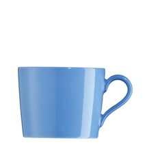 arzberg-tric-blauw-koffiekop.jpg