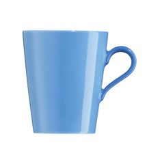 arzberg-tric-blauw-senseokop.jpg